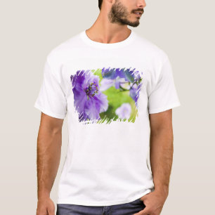 Camiseta EUA, Oregon, Vale Willamette, Larkspur Close 2