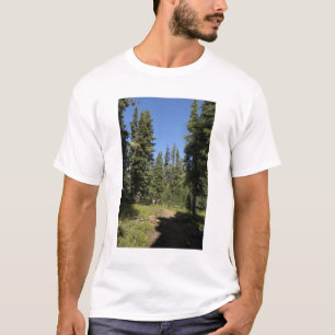 Camiseta EUA, Oregon, Willamette National Forest, Outono