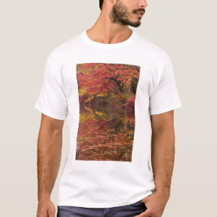 Camiseta EUA, Pensilvânia, Delaware Water Gap National