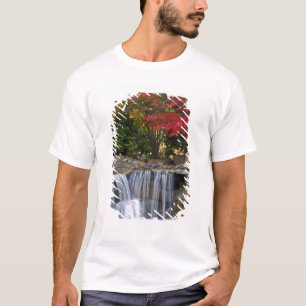 Camiseta EUA, Redmond, Washington. Cores de outono num parq