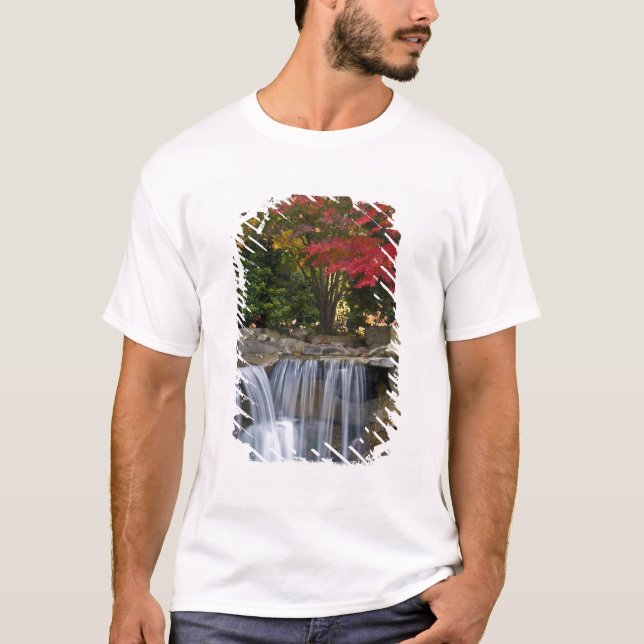 Camiseta EUA, Redmond, Washington. Cores de outono num parq (Frente)