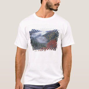 Camiseta EUA, Tennessee, Excelente Smokey Mountains Nationa