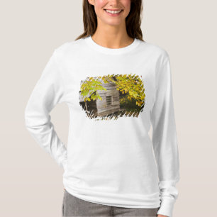 Camiseta EUA, Tennessee, Gatlinburg. Grandes Smoky