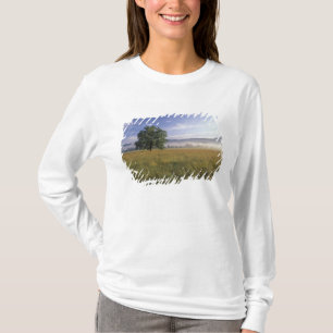 Camiseta EUA, Tennessee. Grandes Montanhas Smokey