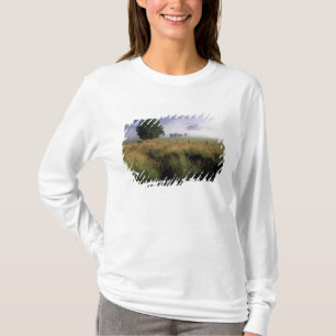 Camiseta EUA, Tennessee, Grandes Montanhas Smokey