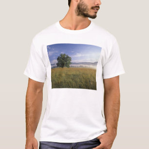 Camiseta EUA, Tennessee. Grandes Montanhas Smokey