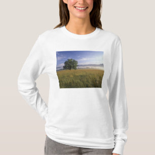 Camiseta EUA, Tennessee. Grandes Montanhas Smokey