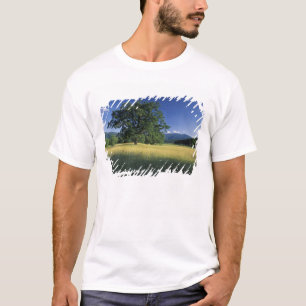 Camiseta EUA, Tennessee. Grandes Montanhas Smokey 3
