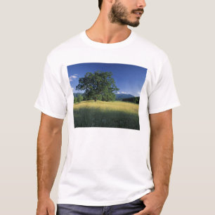 Camiseta EUA, Tennessee. Grandes Montanhas Smokey 3