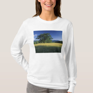 Camiseta EUA, Tennessee. Grandes Montanhas Smokey 3