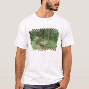 Camiseta EUA, Tennessee, Great Smoky Mountains NP, 3