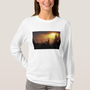 Camiseta EUA, Tennessee, Montanhas Enfumaçados Excelentes 