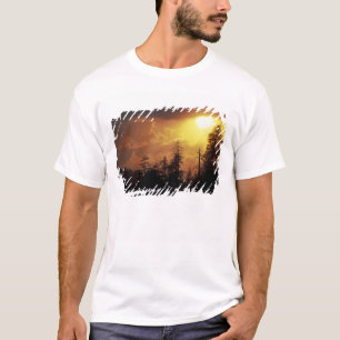 Camiseta EUA, Tennessee, Montanhas Enfumaçados Excelentes 