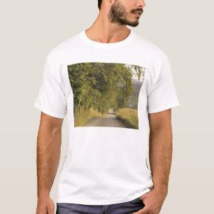 Camiseta EUA, Tennessee, Parque Nacional das Grandes Montan