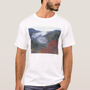 Camiseta EUA, Tennessee, Parque Nacional Grandes Montanhas