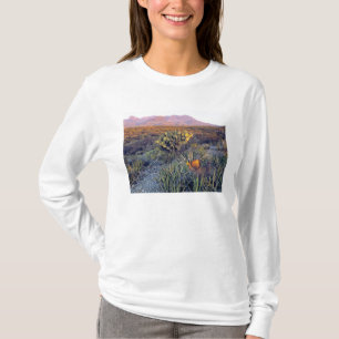 Camiseta EUA, Texas, Big Bend NP. Um crepúsculo arenoso ros