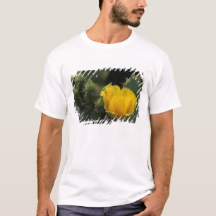 Camiseta EUA, Texas, Cacto de Pera Espinhosa em flor.