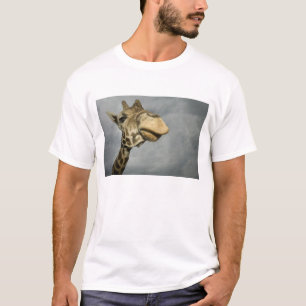 Camiseta EUA, Texas, Fossil Rim Wildlife Area, girafa