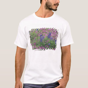 Camiseta EUA, Texas Hill Country. Bluebonnets entre phlox