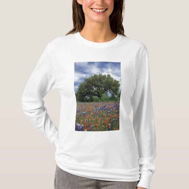 Camiseta EUA, Texas, Marble Falls Paintbrush e (Frente)