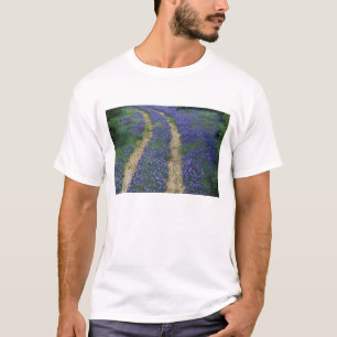 Camiseta EUA, Texas, perto de Marble Falls, trilhas em azul