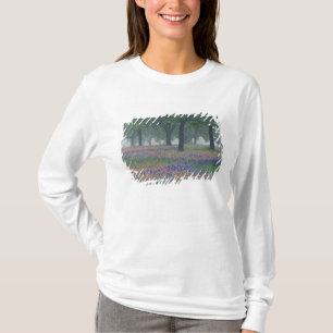 Camiseta EUA, Texas, Texas Hill Country Campo expansivo