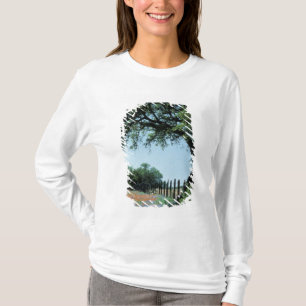 Camiseta EUA, Texas, Texas Hill Country Paintbrush e