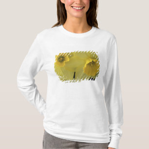 Camiseta EUA, Utah, Cache Valley Daffodils