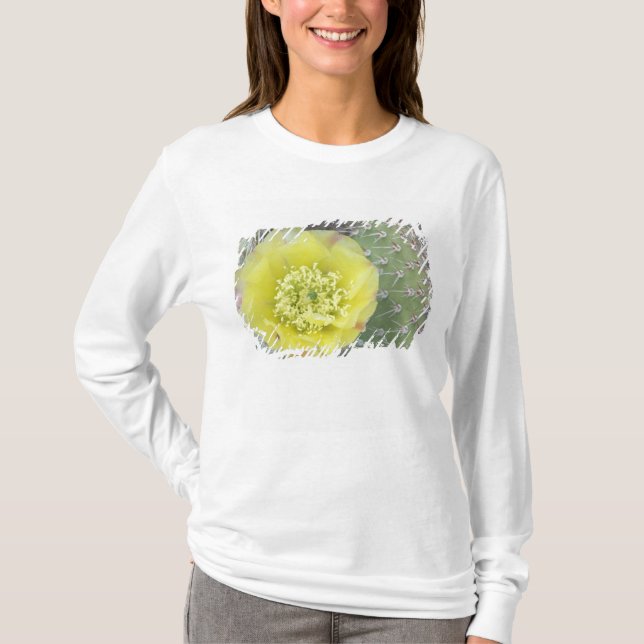 Camiseta EUA, Utah, Canyonlands, NP, Desert Prickly Pear (Frente)