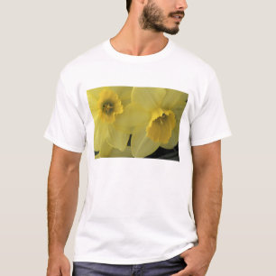 Camiseta EUA, Utah, Daffodils do Vale de Cache