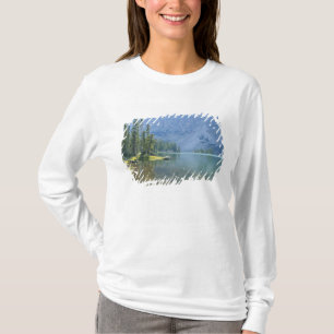 Camiseta EUA, Utah, Floresta Nacional Ashley, High Uintas