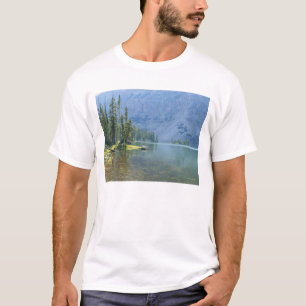 Camiseta EUA, Utah, Floresta Nacional Ashley, High Uintas