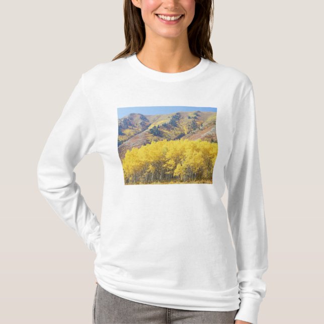 Camiseta EUA, Utah, Floresta Nacional Wasatch-Cache, (Frente)