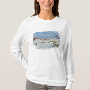 Camiseta EUA, Utah, Monument Valley. Artemísia