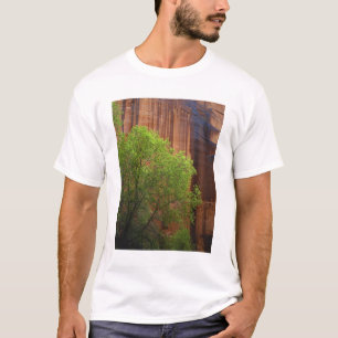 Camiseta EUA, Utah, Paria Canyon- Vermillion Cliffs