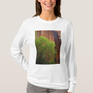 Camiseta EUA, Utah, Paria Canyon- Vermillion Cliffs