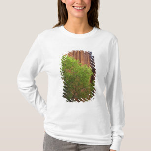 Camiseta EUA, Utah, Paria Canyon- Vermillion Cliffs