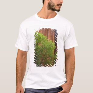 Camiseta EUA, Utah, Paria Canyon- Vermillion Cliffs