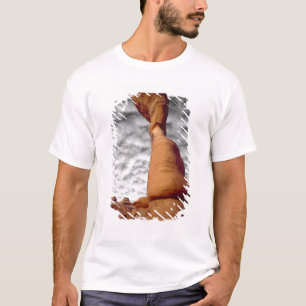 Camiseta EUA, Utah, Parque Nacional Arches. Porção de