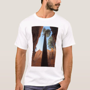 Camiseta EUA, Utah, Parque Nacional Bryce Canyon. Alto