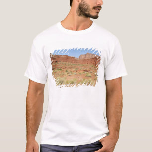Camiseta EUA, Utah, Parque Nacional Canyonlands, Shafer Can