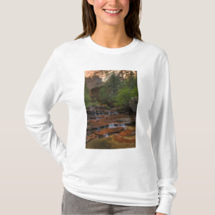 Camiseta EUA, Utah, Parque Nacional de Zion. Paisagem do
