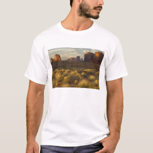 Camiseta EUA, Utah, Parque Nacional Monument Valley.
