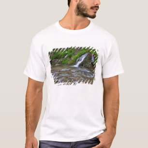 Camiseta EUA, Utah, Parque Nacional Zion. Grandes nascente