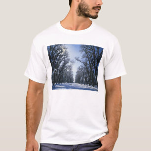 Camiseta EUA, Utah, Salt Lake City, Liberty Park,