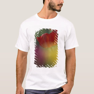 Camiseta EUA, Utah, Tulipas do Vale Cache em um jardim
