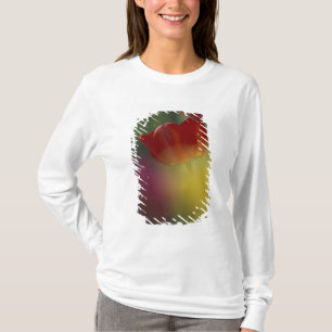Camiseta EUA, Utah, Tulipas do Vale Cache num jardim