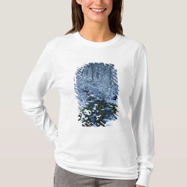 Camiseta EUA, Utah, Wasatch-Catch National Forest, (Frente)