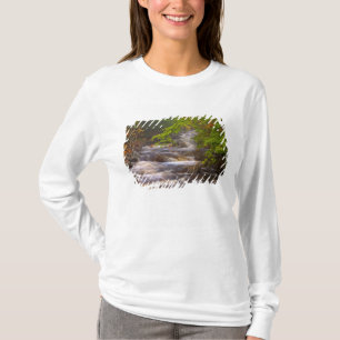 Camiseta EUA, Vermont, East Arlington, Correntes fluindo