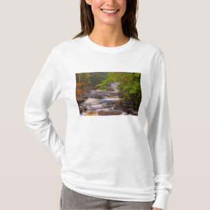 Camiseta EUA, Vermont, East Arlington, Correntes fluindo